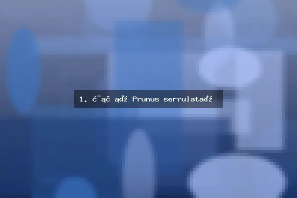 1. 樱花（Prunus serrulata）